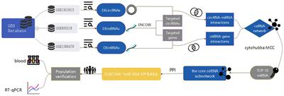 Analysis of the expression level and predictive value of CLEC16A|miR-654-5p|RARA regulatory axis in the peripheral blood of patients with ischemic stroke based on biosignature analysis